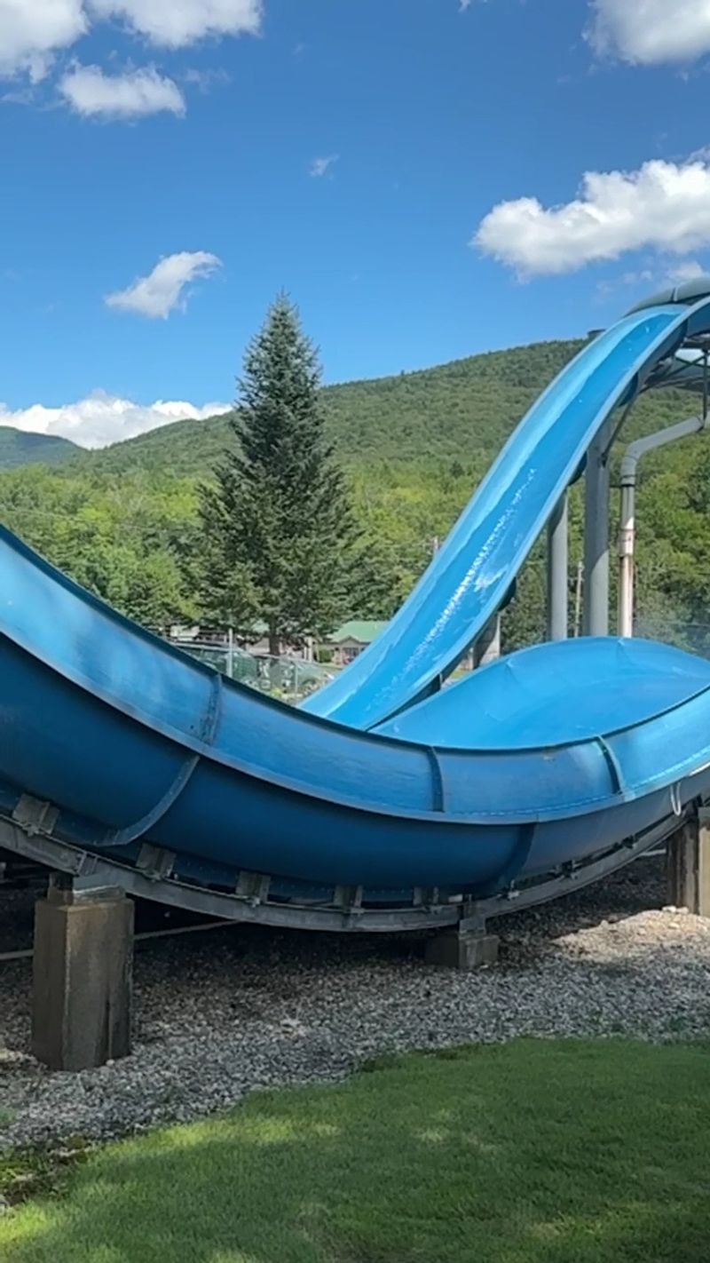 Four Decades of Fun: The History Behind the Park Four Decades of Fun: The History Behind the Park