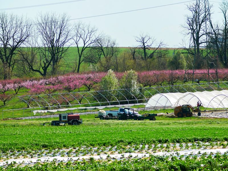 Four Generations of Farming: A Legacy Rooted Deep Four Generations of Farming: A Legacy Rooted Deep