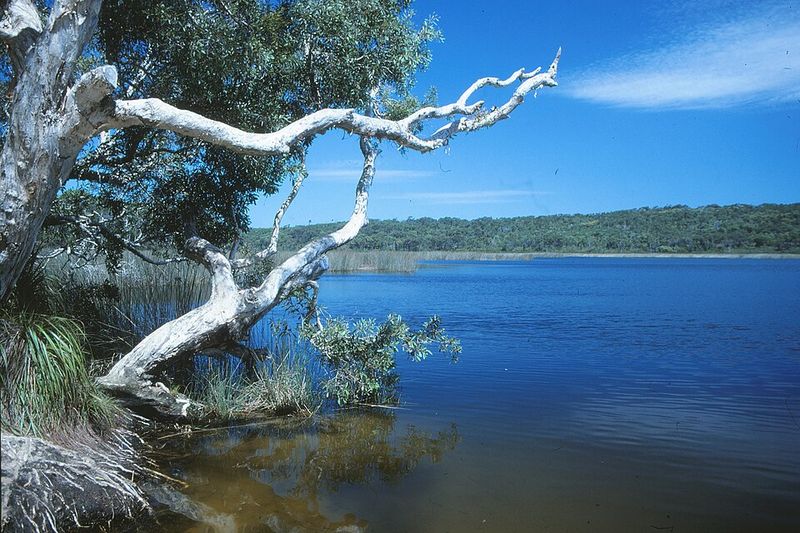 Fraser Island (K'gari, Australia) Fraser Island (K'gari, Australia)