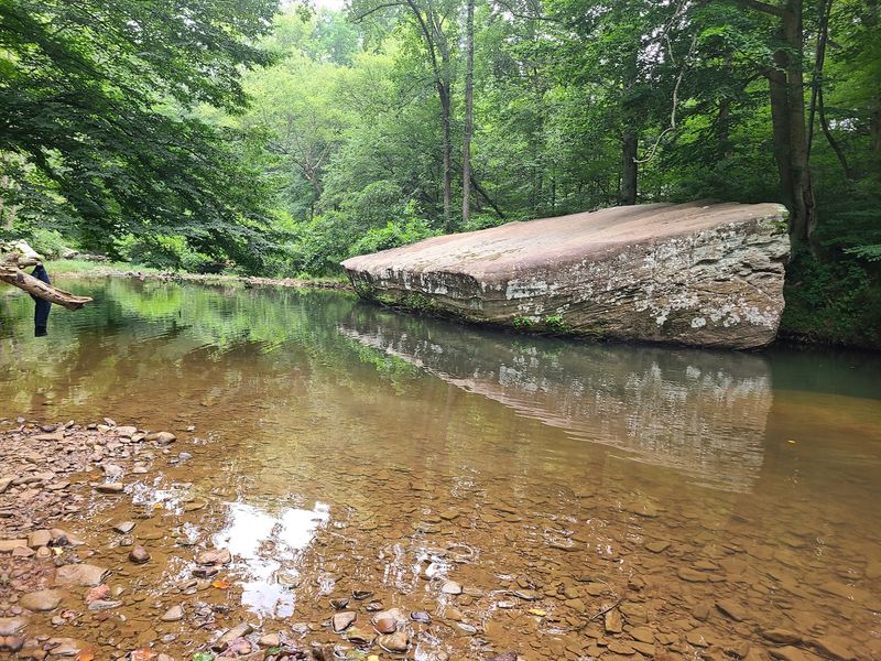 Free Camping That Brings You Closer to Nature