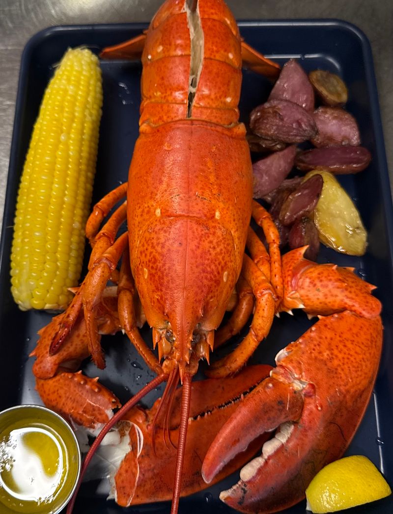 Fresh From the Tank: The Lobster Experience