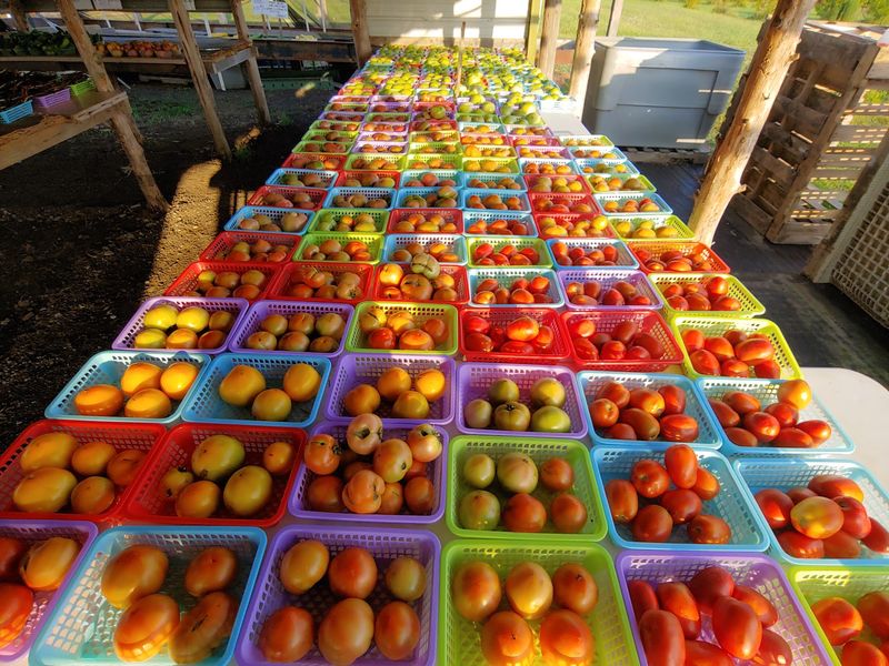 Fresh Produce Grown Right Here Fresh Produce Grown Right Here