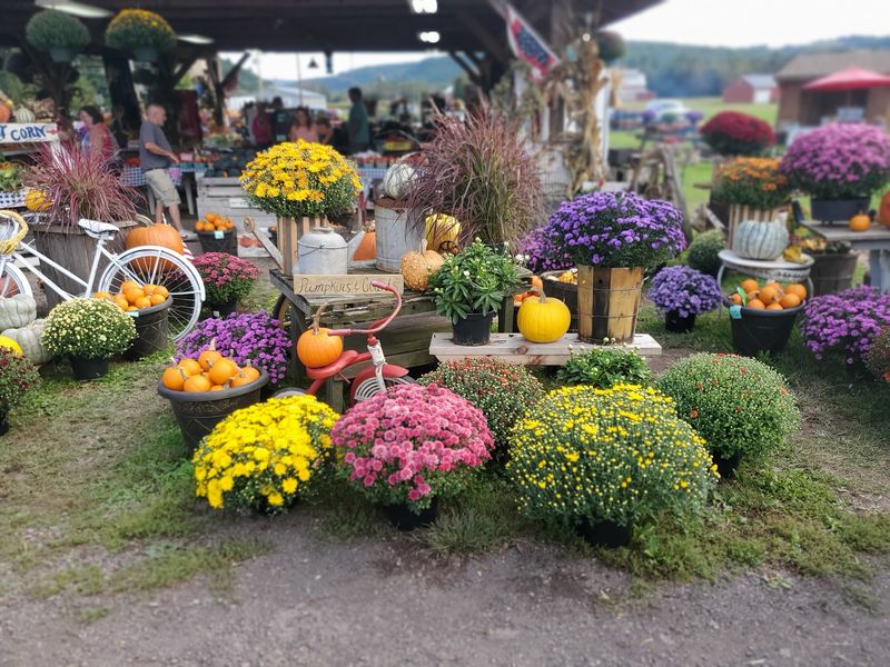 Fresh Produce and Flowers That Rival the Antiques Fresh Produce and Flowers That Rival the Antiques