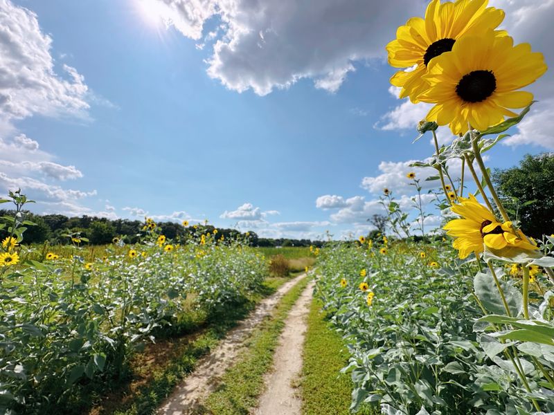 From Farmland to Flourishing Garden: The Origin Story