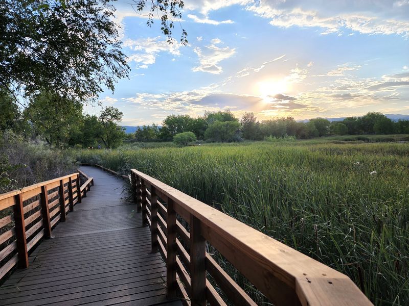 From Gravel Pits to Wetland Wonder: The Remarkable Backstory