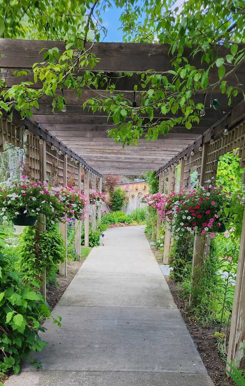 From Humble Backyard to Blooming Wonderland