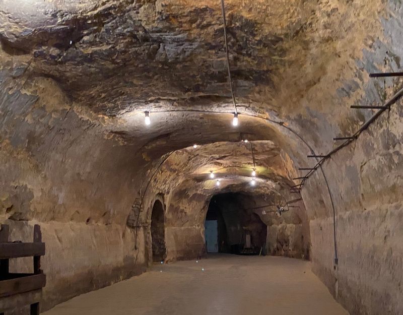 From Mining Tunnels to Mushroom Farms Underground From Mining Tunnels to Mushroom Farms Underground