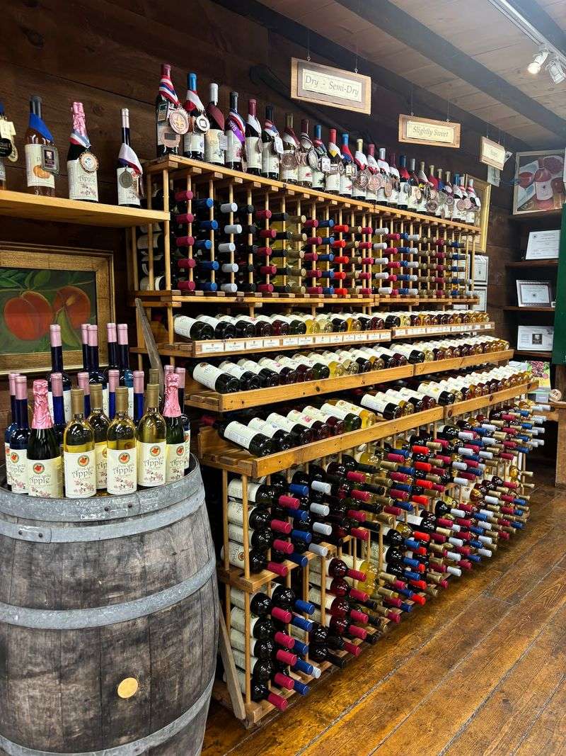 Fruit Wines and a Tasting Bar Fruit Wines and a Tasting Bar