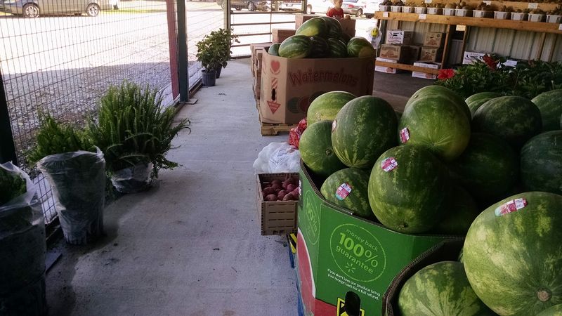 Fruits That Bring the Season Right to Your Hands
