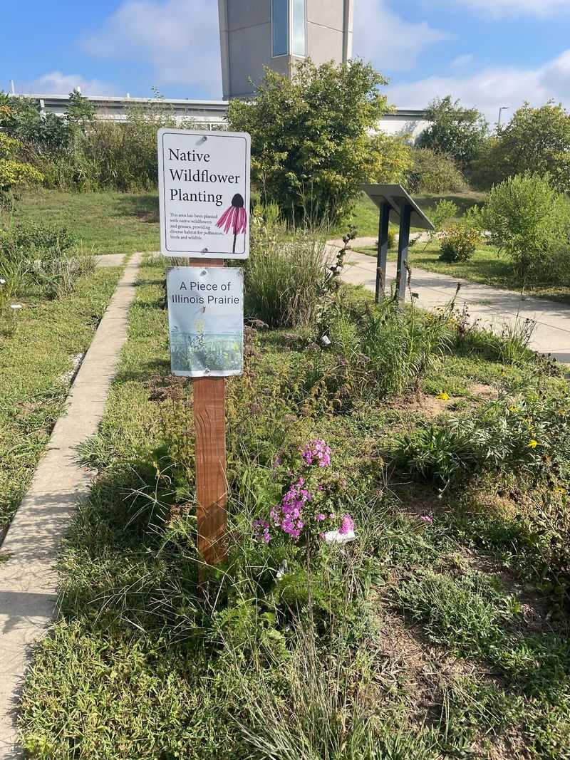 Garden Celebrates Plants from the Expedition Garden Celebrates Plants from the Expedition