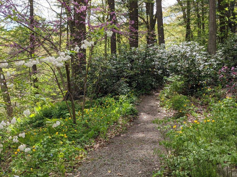 Garden in the Woods, Framingham Garden in the Woods, Framingham