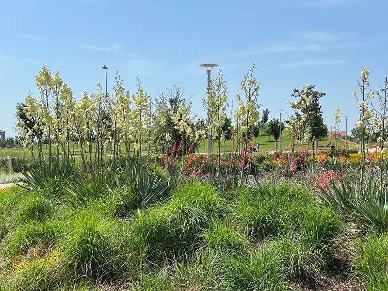 Gardens, Green Space, and the Art of Wandering Gardens, Green Space, and the Art of Wandering