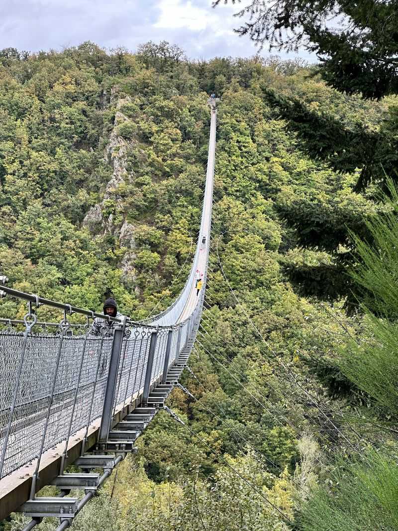 Geierlay Suspension Bridge - Germany Geierlay Suspension Bridge - Germany