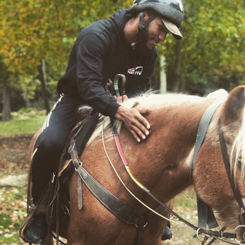 Gentle Horses That Win Everyone Over Gentle Horses That Win Everyone Over