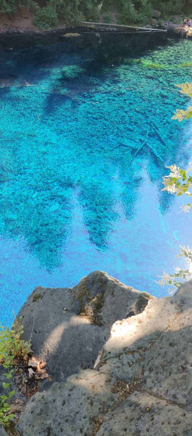 Getting Down to the Water: The Steep Descent to the Pool Getting Down to the Water: The Steep Descent to the Pool