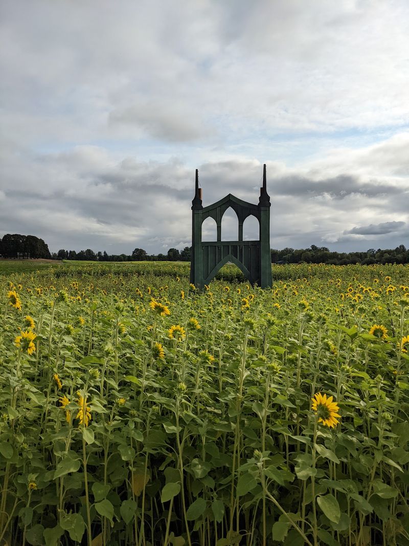 Getting Lost in the Corn and Sunflower Mazes Getting Lost in the Corn and Sunflower Mazes