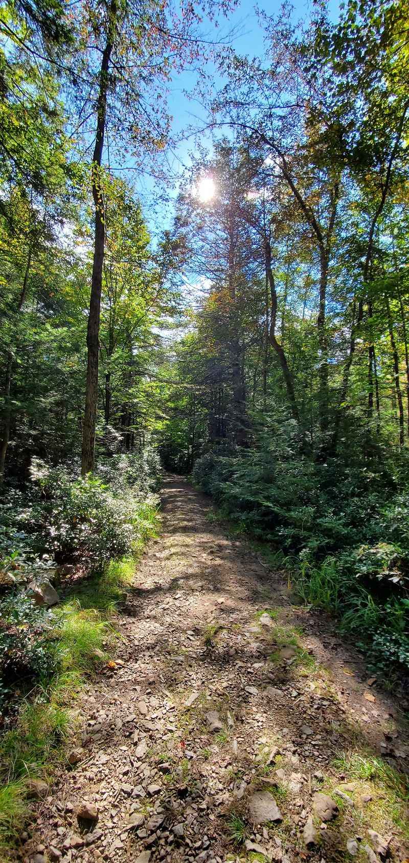 Getting There: The Dirt Road That Sorts Serious Visitors from Casual Ones Getting There: The Dirt Road That Sorts Serious Visitors from Casual Ones