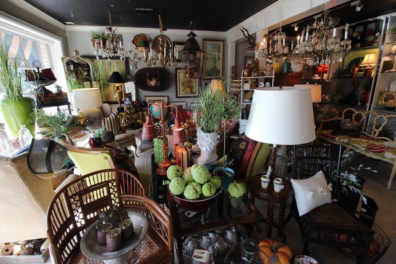Gifts, Curiosities, and One-of-a-Kind Finds Gifts, Curiosities, and One-of-a-Kind Finds