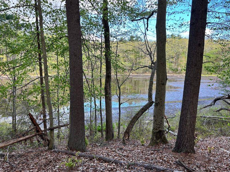 Glimpses of the Lake and Pond Glimpses of the Lake and Pond