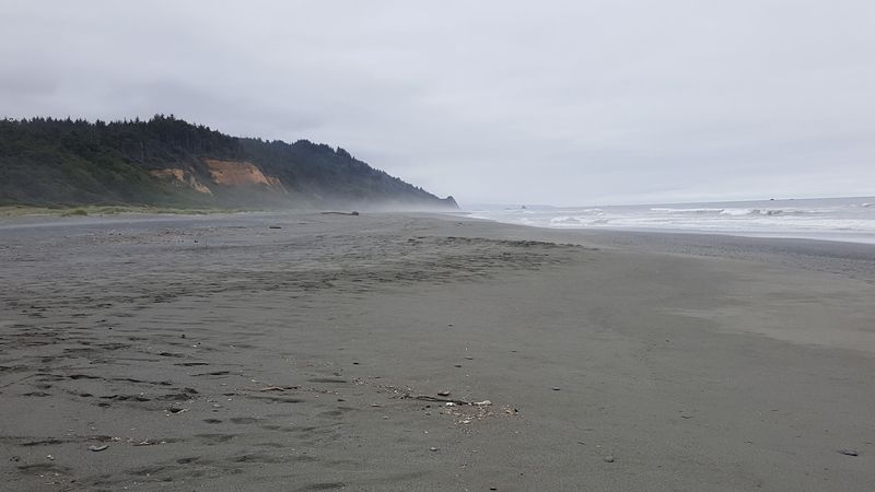 Gold Bluffs Beach, California Gold Bluffs Beach, California