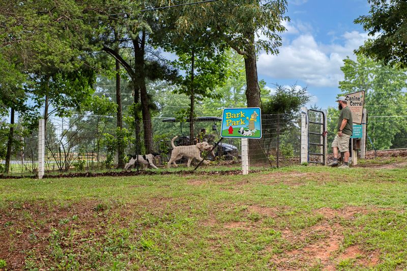 Golf Cart Rentals For Getting Around Golf Cart Rentals For Getting Around