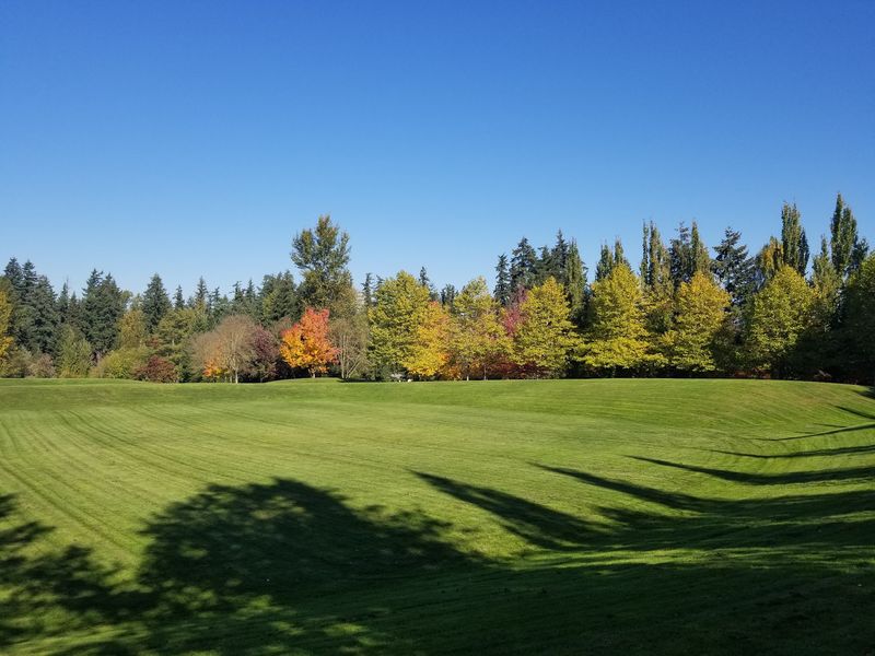 Grassy Lawns, Shade Trees, And Picnic Spots Grassy Lawns, Shade Trees, And Picnic Spots