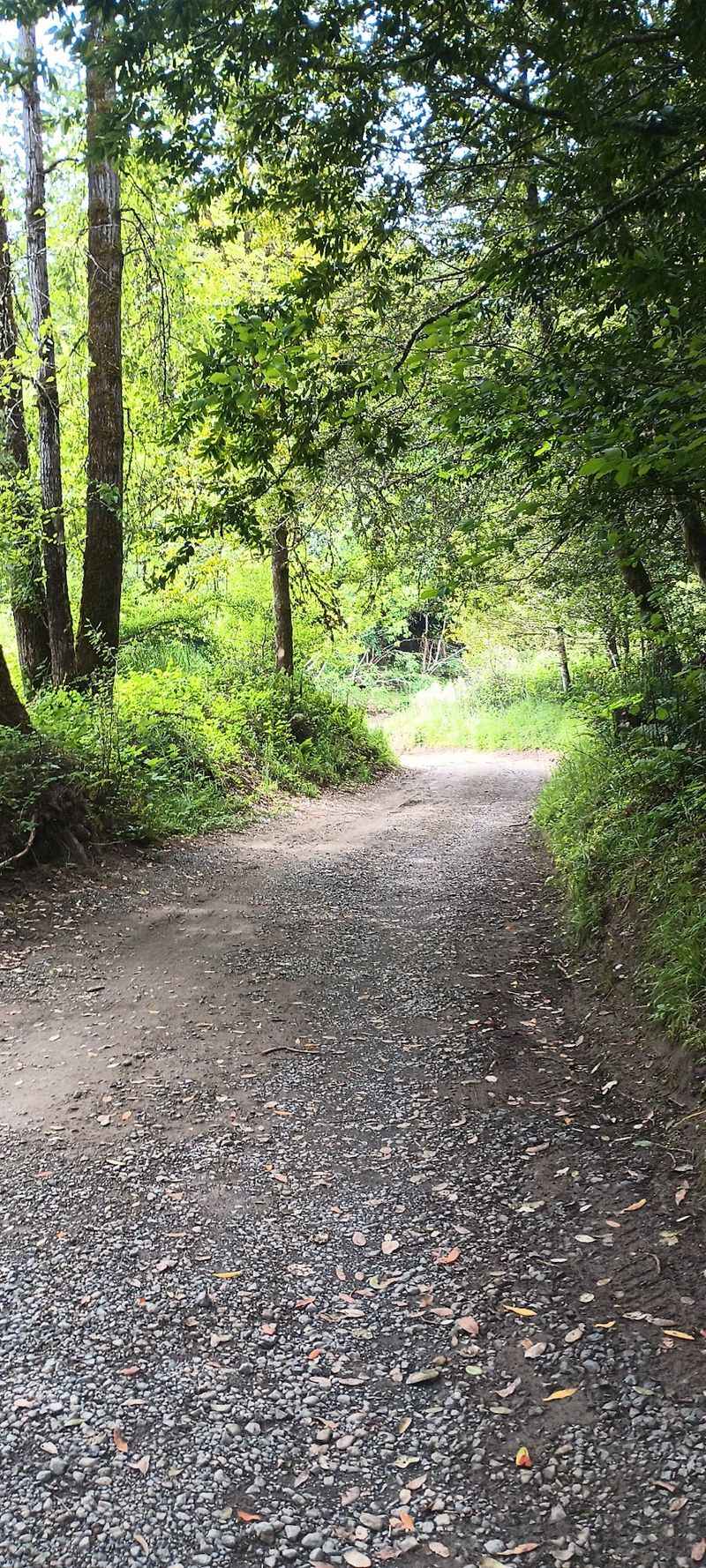 Gravel Trail Leading to River Adventures Gravel Trail Leading to River Adventures