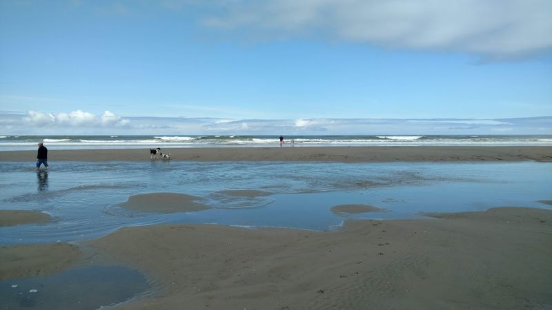 Grayland Beach State Park, Washington Grayland Beach State Park, Washington