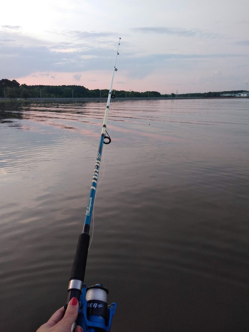Great Fishing From the Shore