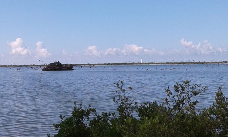 Great Inagua Great Inagua