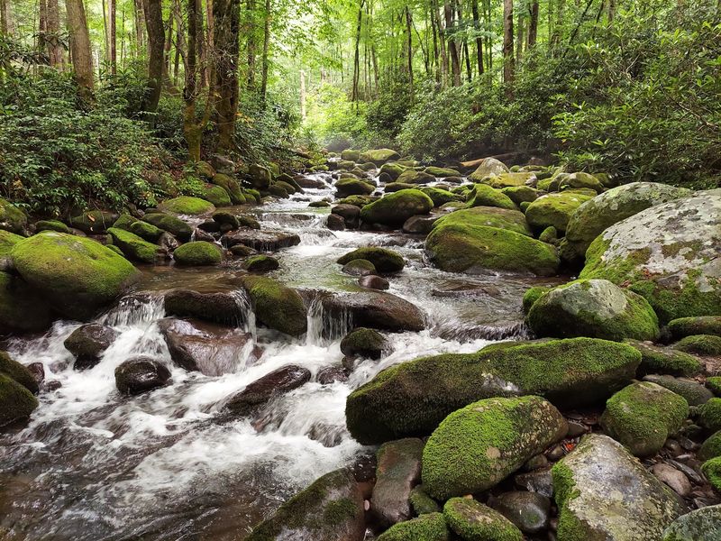 Great Smoky Mountains National Park, Tennessee and North Carolina