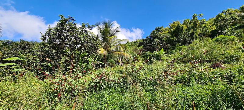 Grenada Grenada