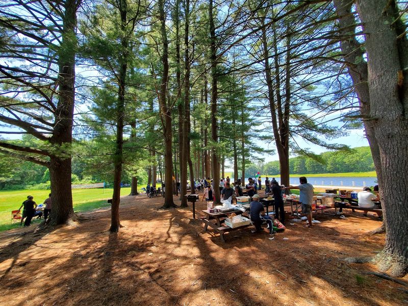 Grills and Picnic Tables Around Every Corner Grills and Picnic Tables Around Every Corner