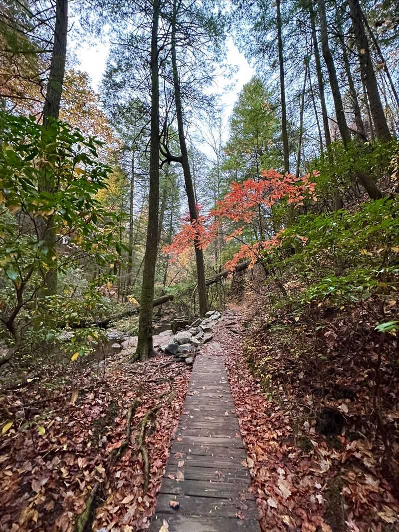 Grundy Forest Loop and the Bridge Crossing
