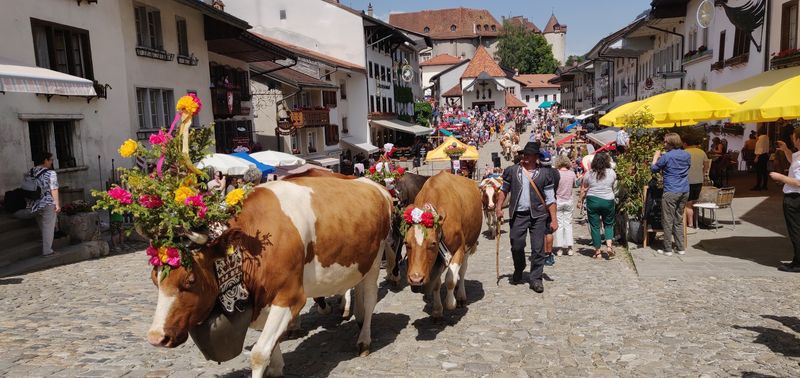 Gruyeres Region, Gruyeres, Canton of Fribourg, Switzerland