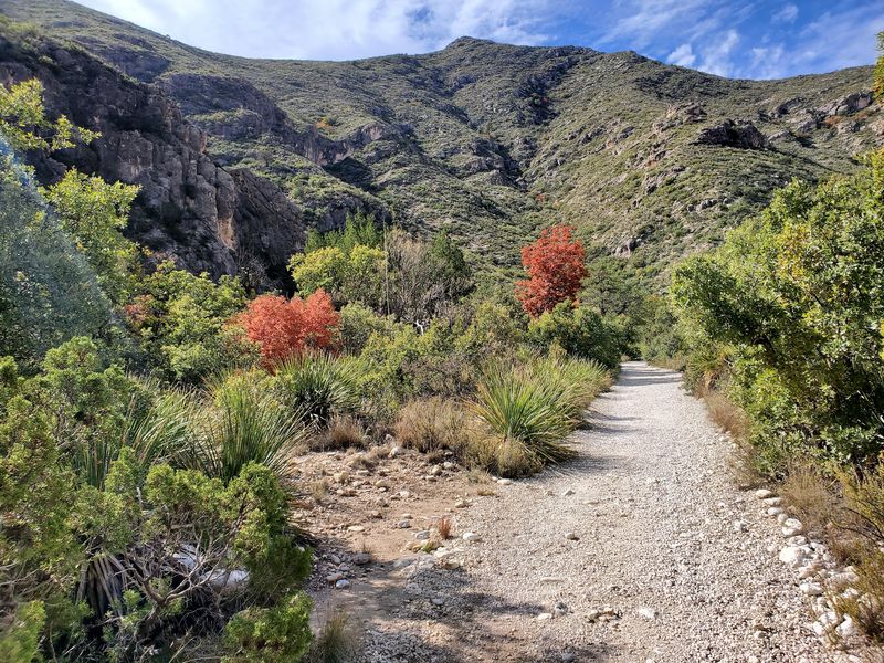 Guadalupe Mountains National Park, Texas Guadalupe Mountains National Park, Texas