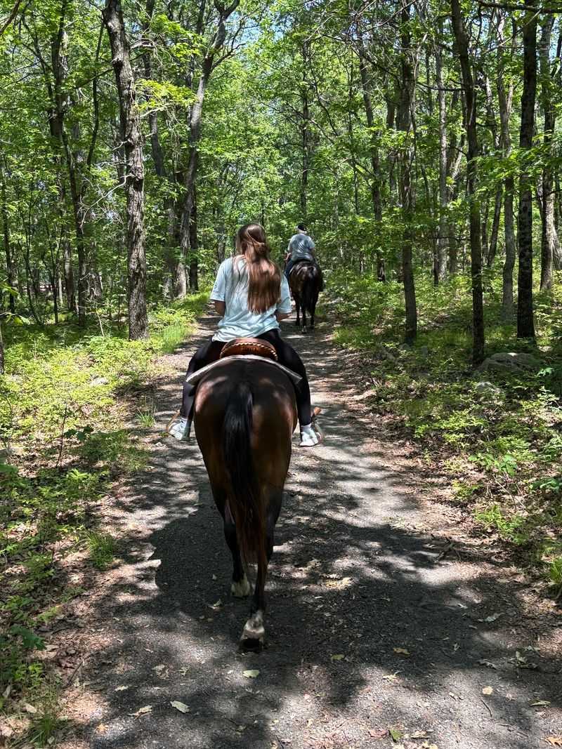 Guides Who Keep The Ride Moving Guides Who Keep The Ride Moving