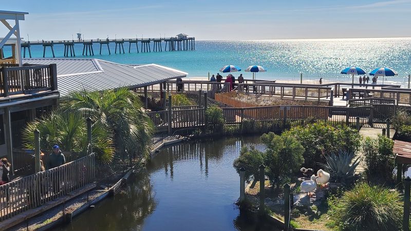 Gulf Views That Make the Setting Feel Special Gulf Views That Make the Setting Feel Special