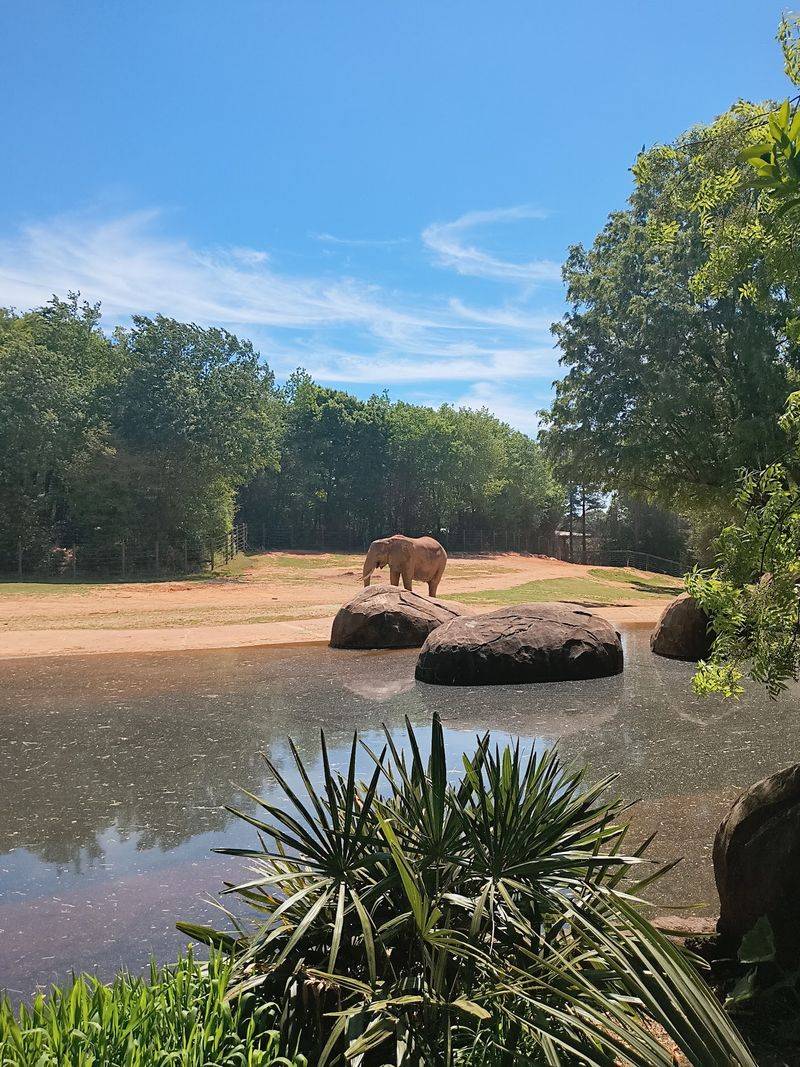 Habitats Built for the Animals, Not the Crowds Habitats Built for the Animals, Not the Crowds