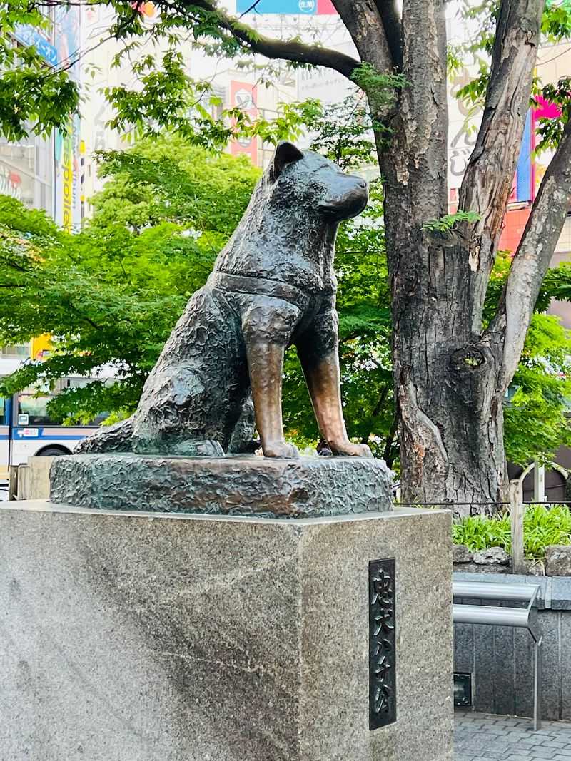 Hachiko Statue - Tokyo, Japan Hachiko Statue - Tokyo, Japan