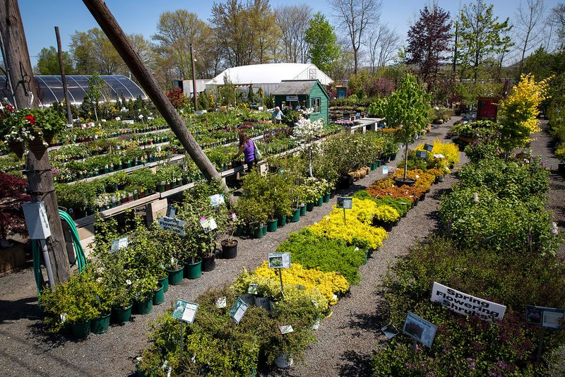 Hadley Garden Center, Hadley Hadley Garden Center, Hadley