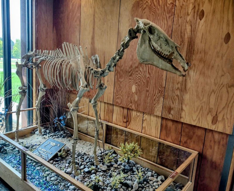 Hagerman Fossil Beds National Monument, Hagerman, Idaho