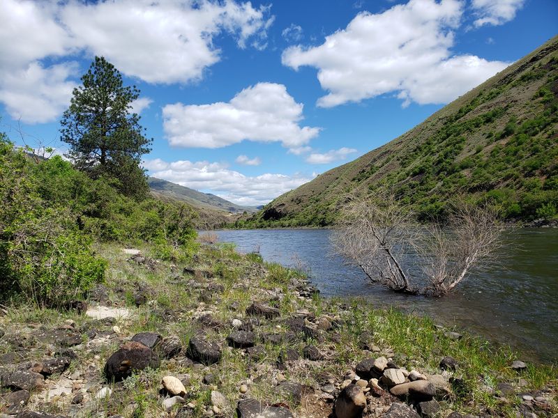 Hammer Creek Recreation Site, White Bird, Idaho Hammer Creek Recreation Site, White Bird, Idaho