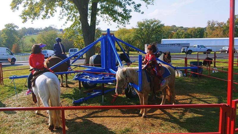 Hands-On Farm Fun Beyond the Main Shows