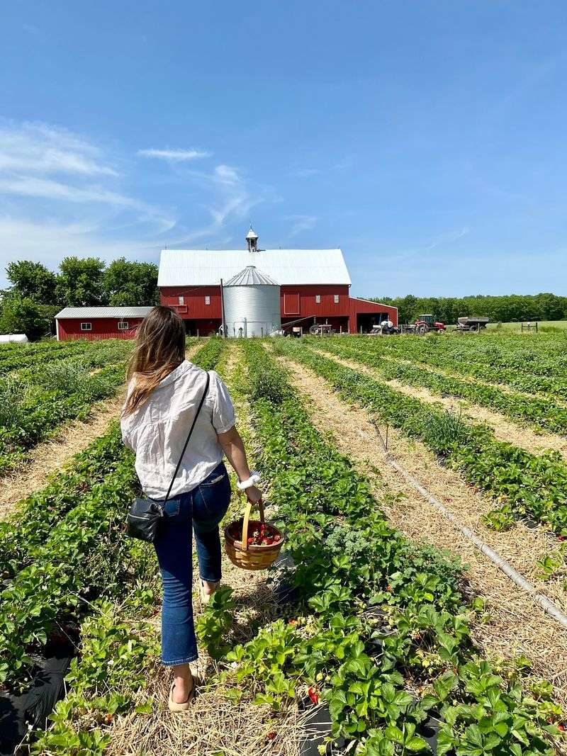 Hann Farms - Dublin