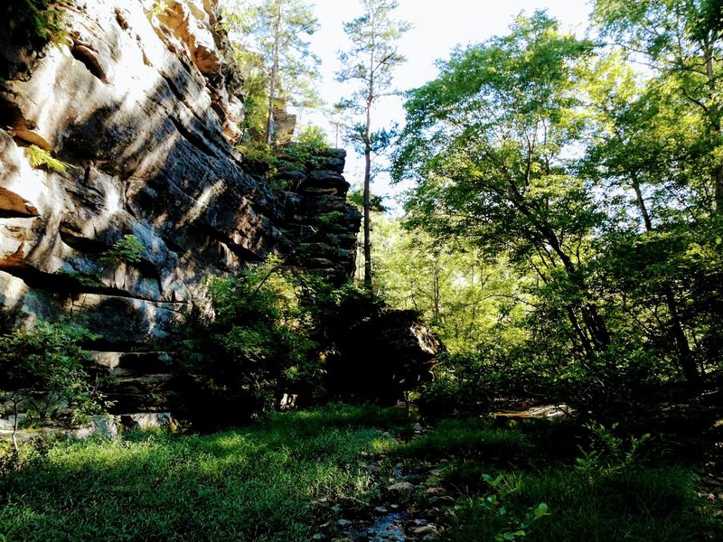Hawn State Park Campground, Ste. Genevieve, Missouri