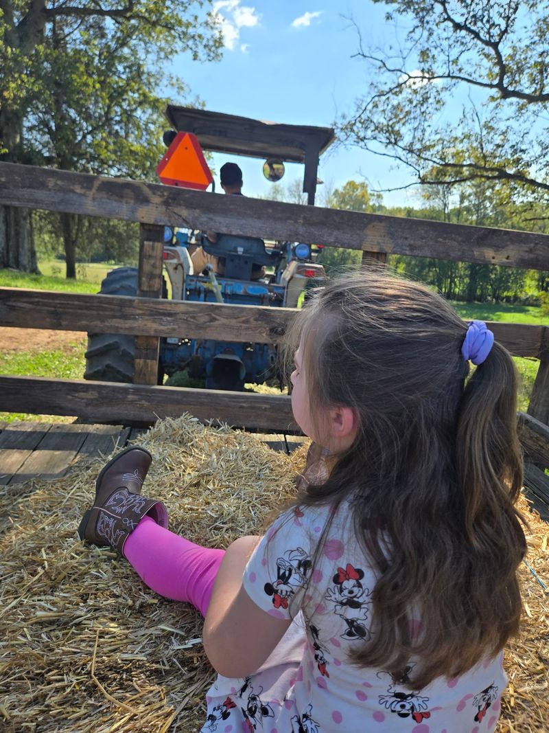 Hay Rides and the Famous Pumpkin Slingshot Hay Rides and the Famous Pumpkin Slingshot
