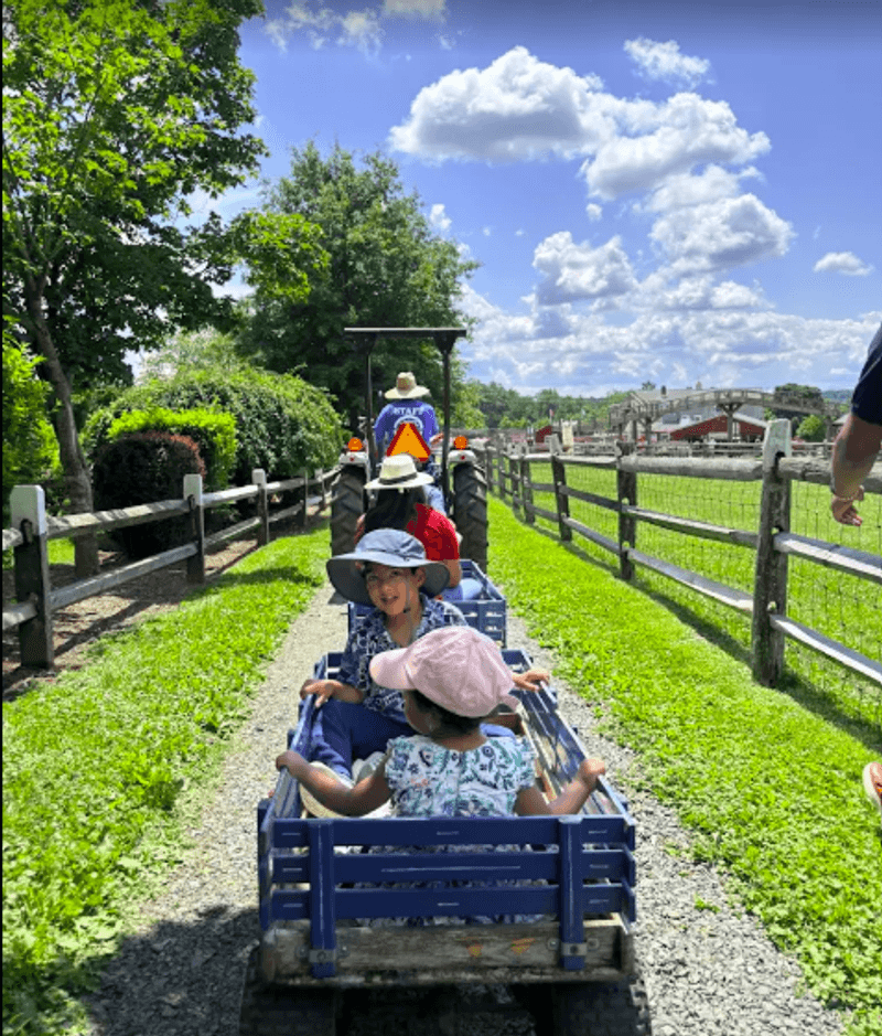 Hayrides And Tractor Rides Across The Property Hayrides And Tractor Rides Across The Property