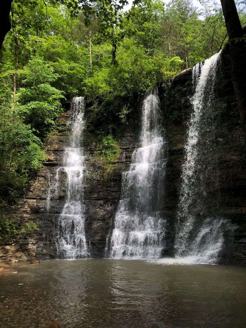 High Bank Twin Falls Trail, Pettigrew, Arkansas High Bank Twin Falls Trail, Pettigrew, Arkansas