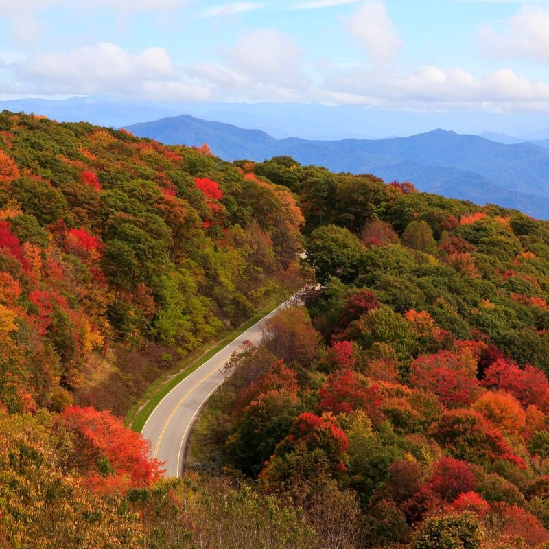 High ridges and forested slopes create the visual payoff High ridges and forested slopes create the visual payoff